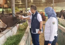 TPID Dorong Stabilitas Harga Hewan Kurban tanpa Rugikan Peternak