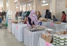 Pemerintah Perketat Pengawasan Insentif Pajak UMKM