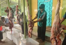 Pemotongan Hewan Kurban Wajib Penuhi Standar Higienis