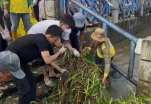 AKKSI Sumsel Ajak 350 Peserta Bersihkan Sungai Musi