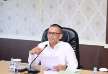 OKU Selatan Siap Sukseskan Hari Posyandu Nasional