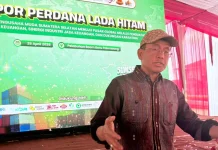 OJK Sumsel Sebut 9.020 Pelaku Usaha Terdaftar Program Sultan Muda