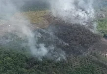 Sumsel Siaga Karhutla, Apel dan OMC Disiapkan Mei