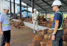 Disperindagkop Muratara Awasi Kegiatan Industri PT Dendy Marker Indah Lestari