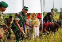 Kodam II/Sriwijaya Siapkan Batalyon Baru di Desa Merbau