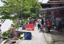 Tanah Longsor di Sekayu Rusak Akses Jalan Bantaran Sungai Musi