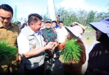 OKI Jadi Fokus Percepatan Tanam Padi Hadapi Ancaman El Nino 2026
