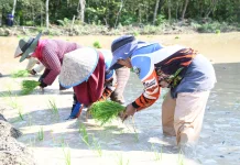 Hadapi Elnino, TNI dan Pemprov Sumsel Lakukan Gerakan Tanam Serentak