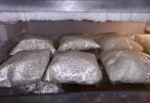 Cara yang Benar Menyimpan Nasi di Freezer