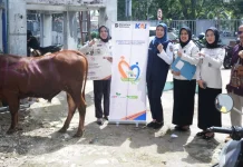 Sambut Iduladha 1447 H, KAI Palembang Salurkan 30 Ekor Sapi Kurban