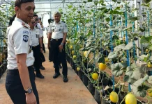 Rutan Kelas I Palembang Panen Melon, Dukung Ketahanan Pangan
