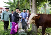 Pemkot Palembang Salurkan Kurban di Masjid Al-Fathul Akbar