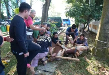 Kejati Sumsel Bagikan 1.000 Paket Daging Kurban untuk Warga dan Panti Asuhan