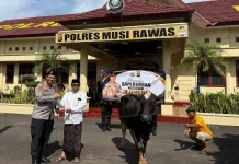 Polda Sumsel Serahkan Dua Sapi Kurban untuk Pesantren di Musi Rawas