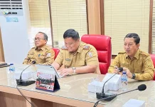Pemkab Banyuasin Rencanakan Perampingan OPD
