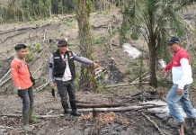 BPBD Muba Tingkatkan Kesiapsiagaan Hadapi Ancaman Karhutla