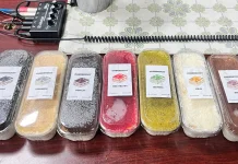 Salraa Bitess Kembangkan Usaha Kuliner dari Hobi Memasak
