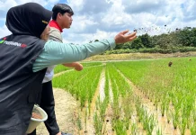 Program Punjangga Angkat Kesejahteraan Petani PALI