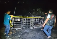 Polisi Selidiki Penyebab Terbakarnya Penampungan Minyak Mentah Muba