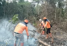 Ribuan Titik Panas Terdeteksi di Sumsel hingga Pertengahan Juni