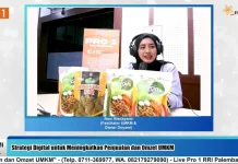 Konten Organik dan Edukasi jadi Strategi Prioritas UMKM di Era Digital