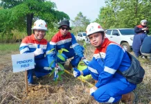 Jaga Jalur Gajah Sumatra, Pertamina EP Zona 4 Tanam Pohon di Musi Rawas