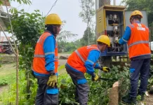 PLN Perkuat Keandalan Listrik Empat Lawang lewat Standarisasi Gardu Distribusi