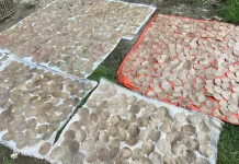 UMKM Kemplang Rumahan Pakjo Satu Dekade Lestarikan Kuliner Khas Palembang
