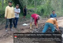 Jalan Sekayu-PALI Ditimbun, Kantor Camat Sungai Keruh Kini Dialiri Listrik