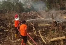Kabupaten PALI Tetapkan Status Siaga Karhutla