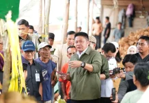 Kelapa Sumsel Tembus Pasar Asia, Gubernur Apresiasi Pengusaha Muda