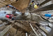 Ditpolairud Polda Sumsel Evakuasi Paus Biru 13 Meter yang Terdampar di Banyuasin