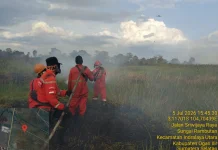 Tim Gabungan Padamkan Karhutla Seluas Lima Hektare di Ogan Ilir