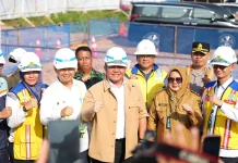 Herman Deru Tinjau Progres Flyover JPL 123 Muara Enim