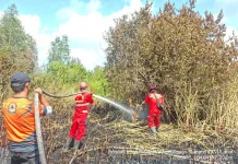 Karhutla Dipadamkan, Petugas Dinginkan Lahan di Desa Tanjung Baru Muara Enim