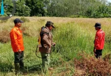 Siaga Hadapi Karhutla, Manggala Agni Daops 14 Banyuasin Pantau Titik Panas
