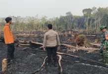 BPBD Muba Lakukan Ground Check Titik Hotspot di Plakat Tinggi
