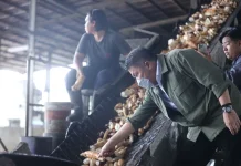 Gubernur Sumsel Tinjau Pabrik Tapioka, Tekankan Industri Berbasis Lokal