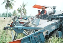 Hadapi Serangan Hama Petani, Bupati Banyuasin Dorong Pola Tanam Serentak