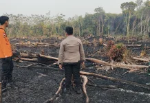 Deteksi 179 Titik Panas, BPBD Muba Perkuat Mitigasi