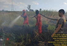 Lima Daerah Sumsel Masuk Zona Merah Karhutla