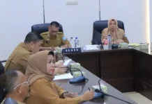 Pemkab OKU Selatan Kaji PKKPR Pembangunan Klinik dan RS Swasta