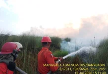 Karhutla di Desa Lorok Ogan Ilir Berhasil Dipadamkan setelah Dua Hari Berjibaku