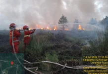 Lahan Seluas 15 Hektare Terbakar di Banyuasin Berhasil Dipadamkan