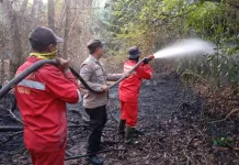 Sinergi Polisi-Manggala Agni, Karhutla di Desa Pegayut Ogan Ilir Berhasil Padam