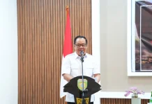 Punya Cadangan 416 Juta Ton, Sumsel Perkuat Tata Kelola Karbon