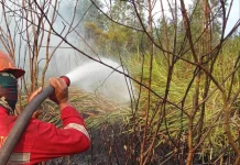 Atasi Karhutla di Sumsel, Kemenhut Lakukan Operasi Modifikasi Cuaca