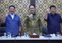 Sumsel Jadi Pelopor Organisasi Nasional Satlinmas
