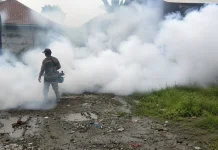 Cegah DBD, Masyarakat Diimbau Hindari Nyamuk Aedes Aegypti Aktif Pagi dan Sore