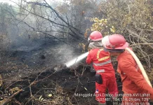 Karhutla di Desa Tanjung Kurung PALI Berhasil Dipadamkan